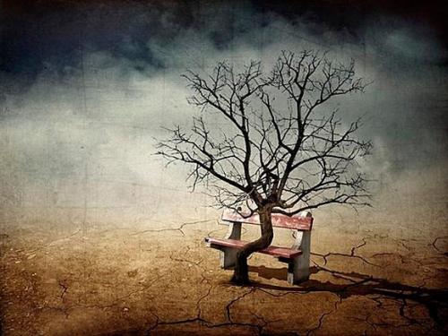 ����ٲ��ı�SEO���ͱؽ��ߵ���ͷ