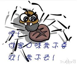 ����ó���ʶ��Baiduspider ua