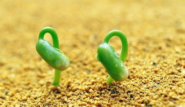 �½���վ��λ�õ��ٶ�����