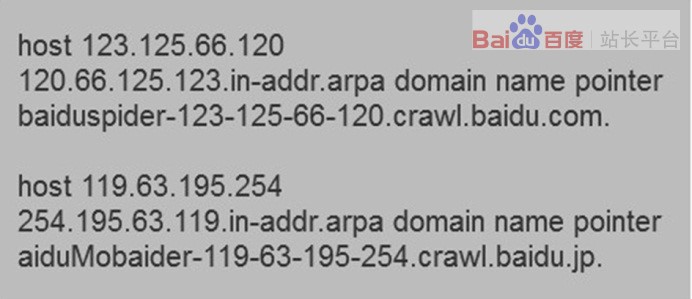 ֻ����������ȷʶ��ٶ�֩��