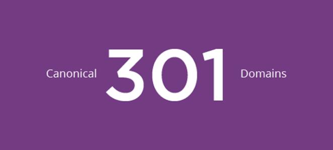 ��վ�Ż�seo301ת����ô��