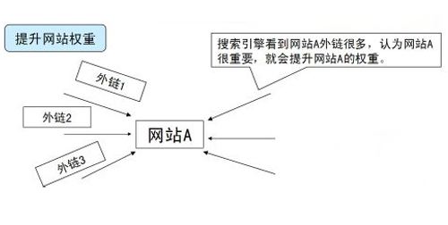 seo�Ż���������Ҫ�㷺��